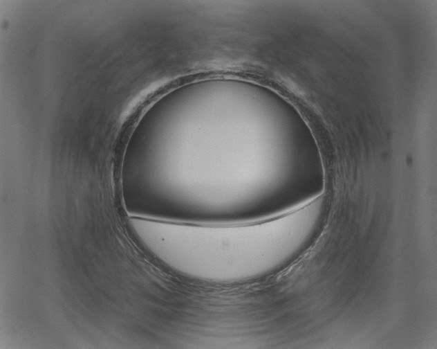 X0000064061214200601270925