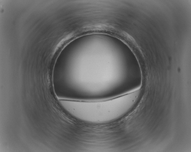 X0000064061218200601270925