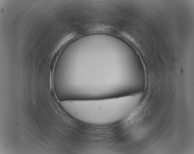 X0000064061219200601270925