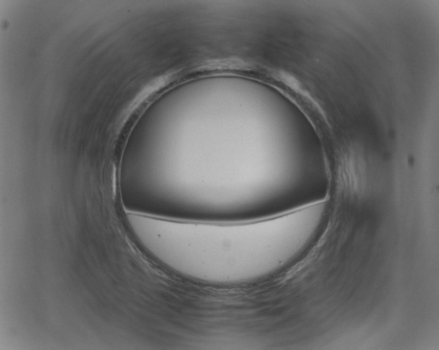 X0000064061221200601270925
