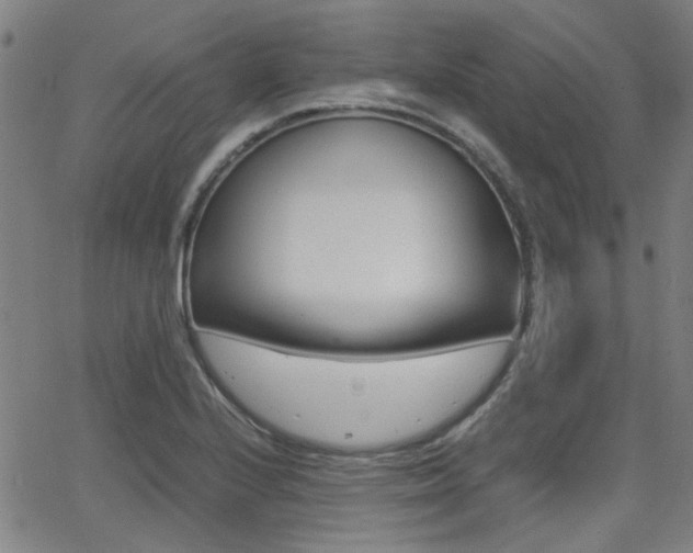 X0000064061224200601270925