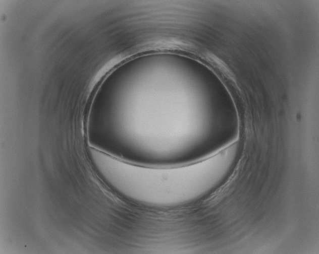 X0000064061226200601270925
