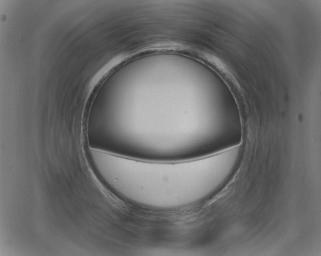 X0000064061229200601270925