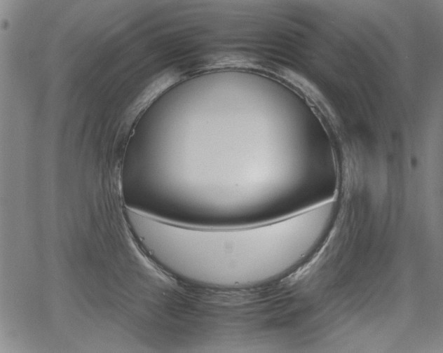 X0000064061241200601270925