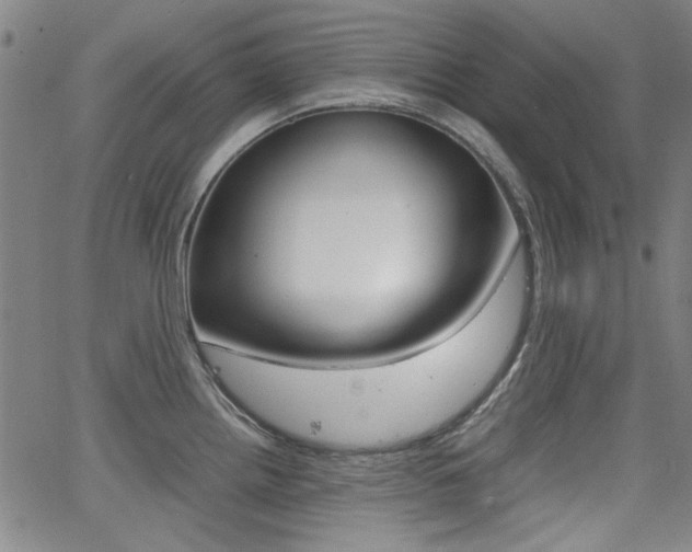 X0000064061242200601270925