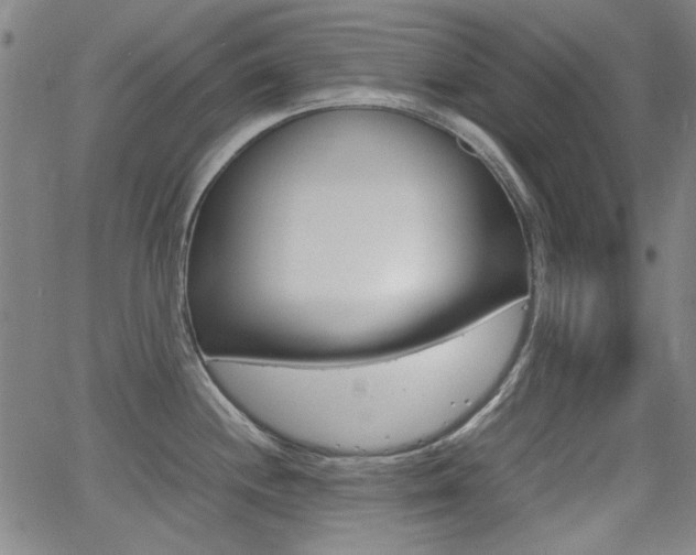 X0000064061244200601270925