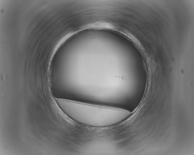 X0000064061248200601270926