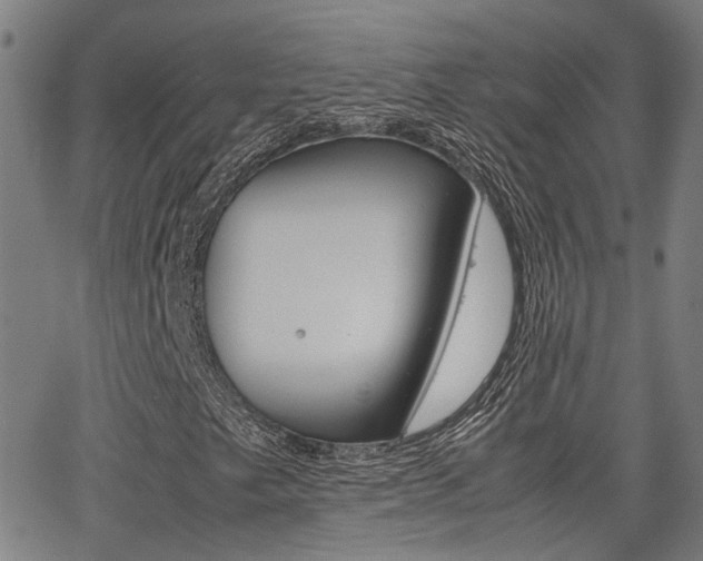 X0000064061249200601270925