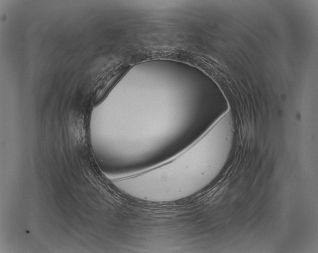 X0000064061252200601270925