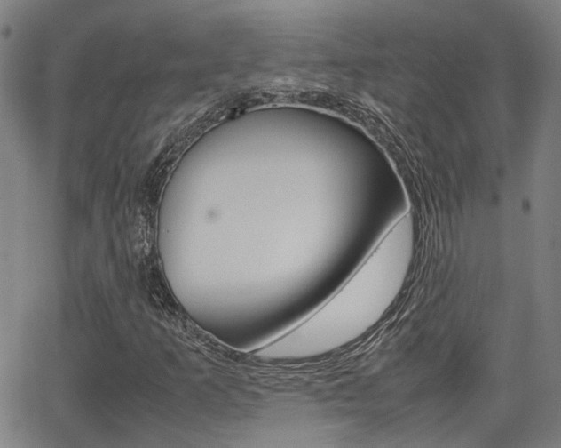 X0000064061253200601270925