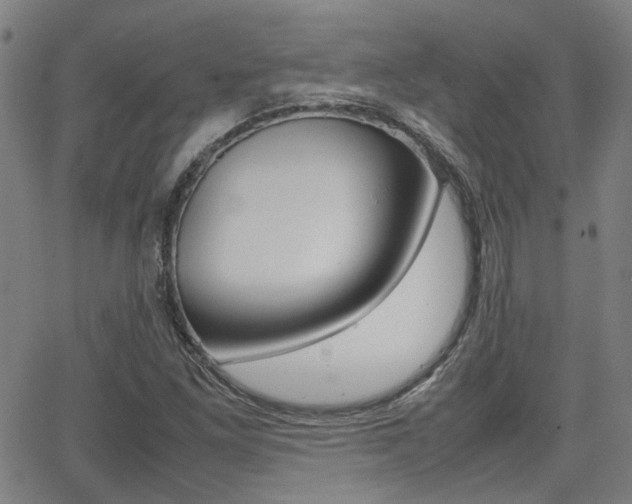 X0000064061261200601270925