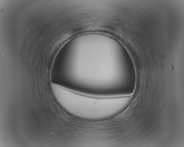X0000064061265200601270924