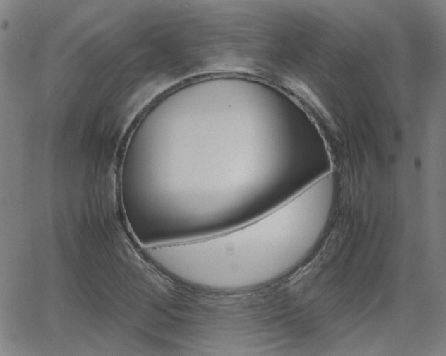 X0000064061268200601270924
