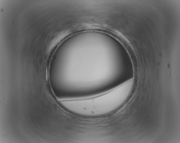 X0000064061269200601270924