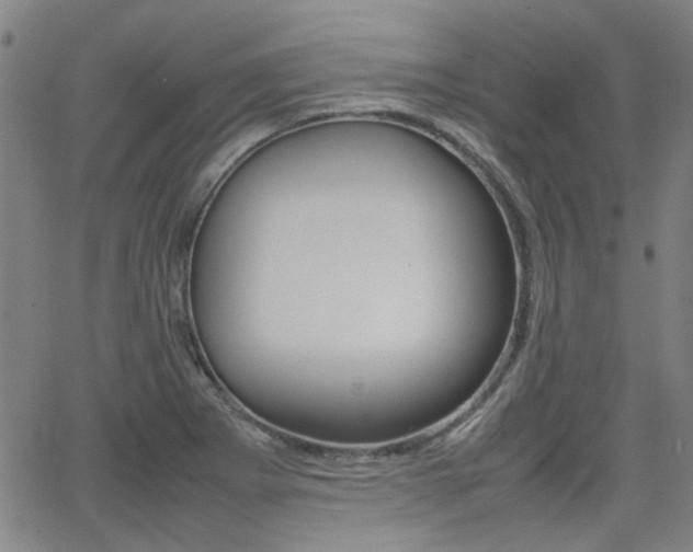 X0000064061273200601270924