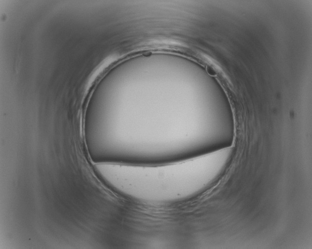 X0000064061275200601270924