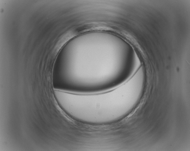 X0000064061281200601270924