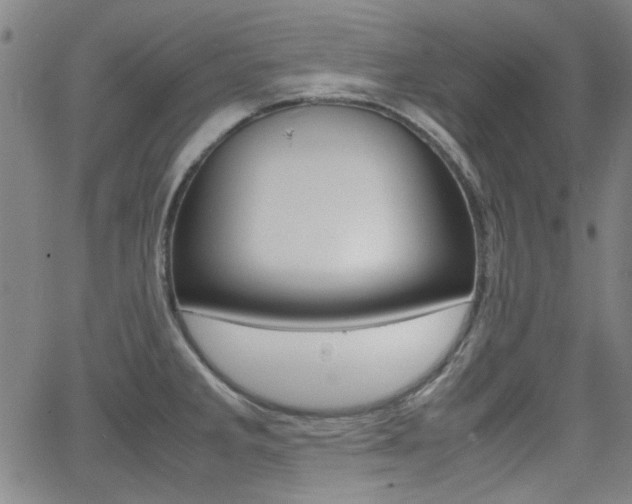 X0000064061285200601270924