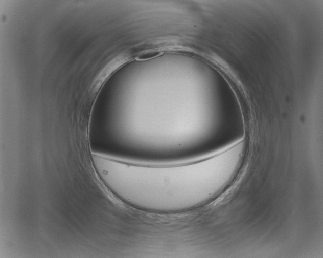 X0000064061289200601270924