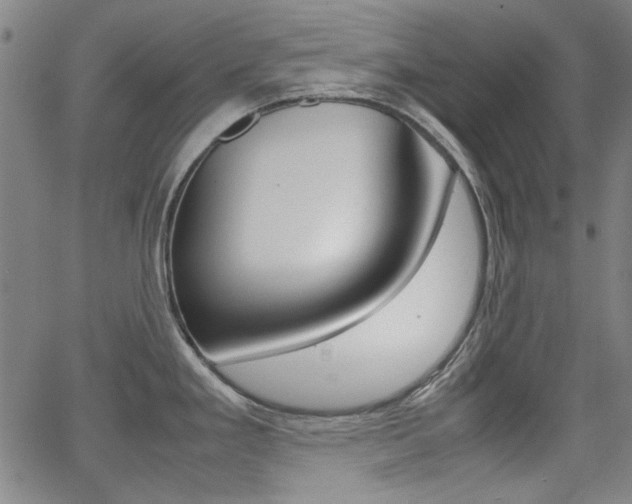 X0000064061293200601270924