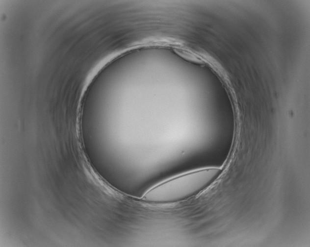 X0000064061296200601270924