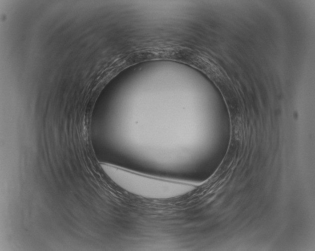 X0000064061298200601270923