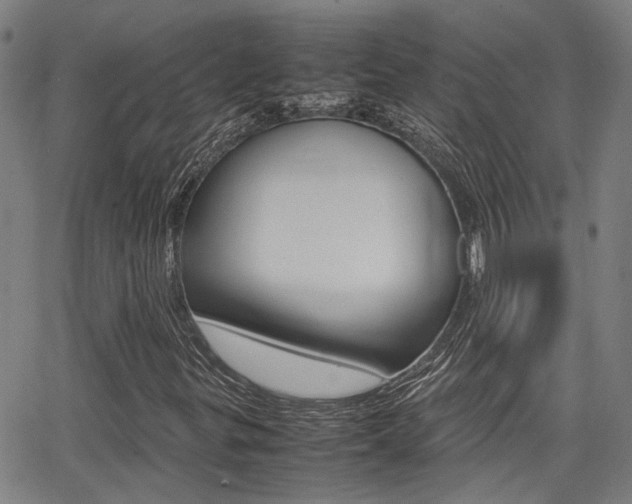 X0000064061299200601270923