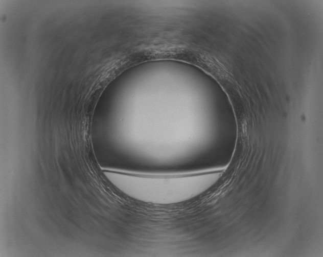 X0000064061300200601270923