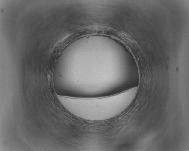 X0000064061302200601270923