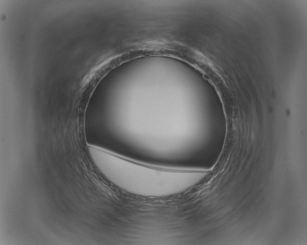 X0000064061304200601270923