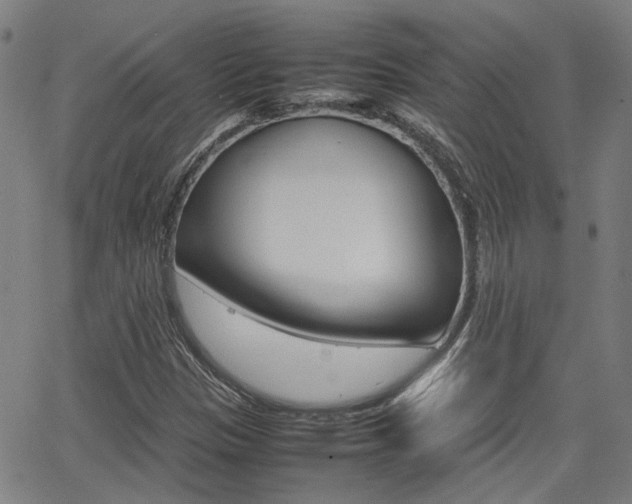 X0000064061305200601270923
