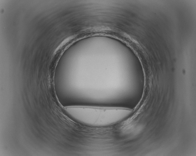 X0000064061306200601270923