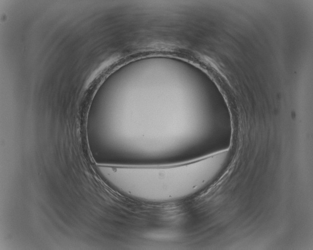 X0000064061307200601270923