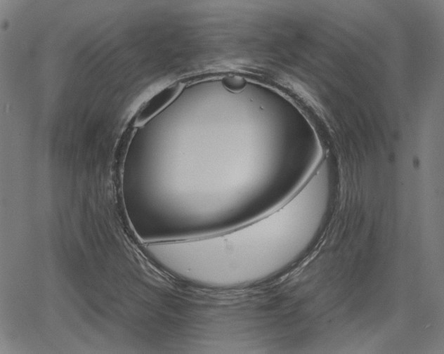X0000064061308200601270923