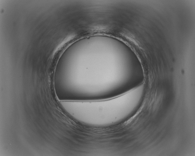X0000064061309200601270923