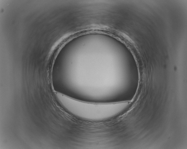 X0000064061310200601270923