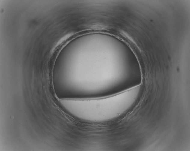 X0000064061315200601270924