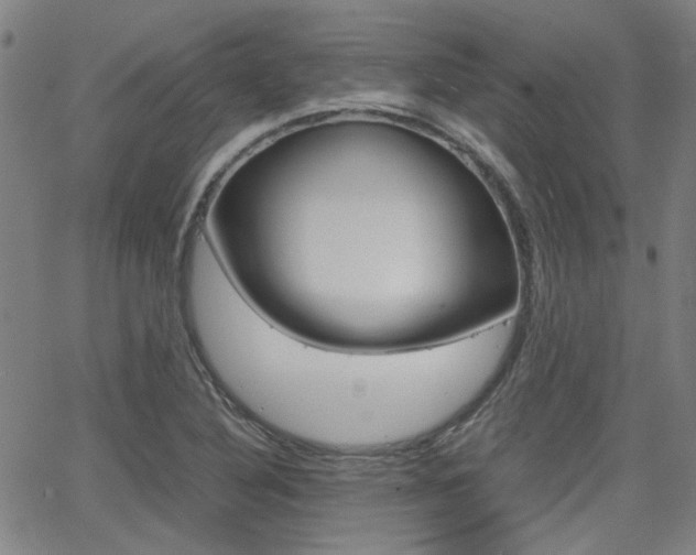 X0000064061316200601270924
