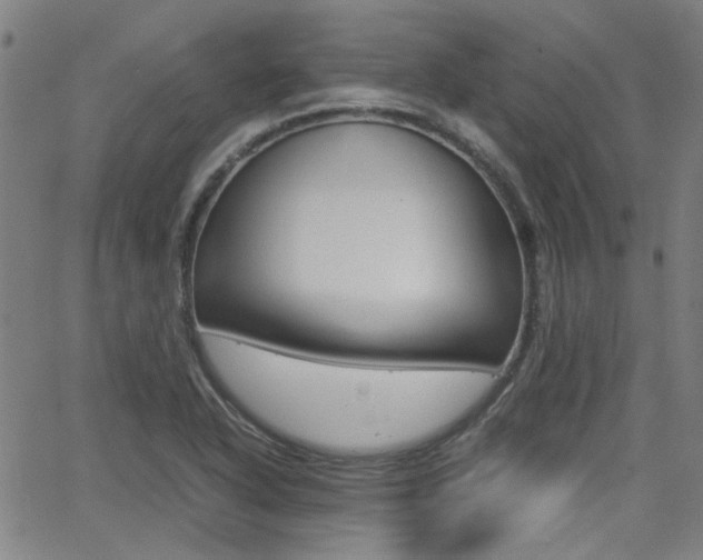 X0000064061318200601270924