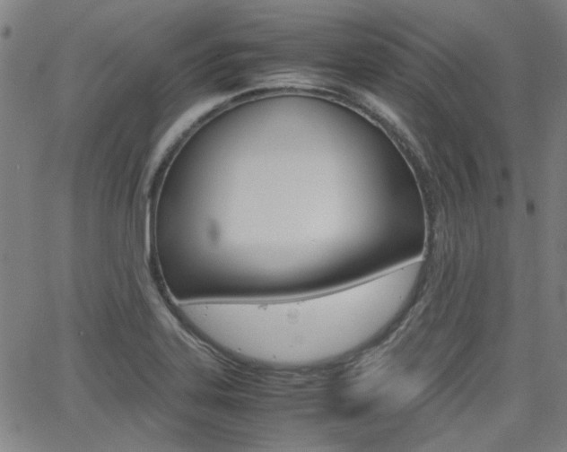 X0000064061323200601270924
