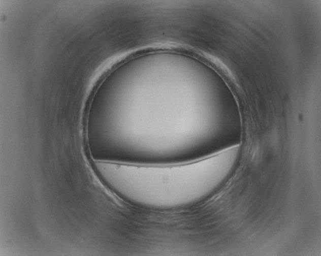 X0000064061327200601270924
