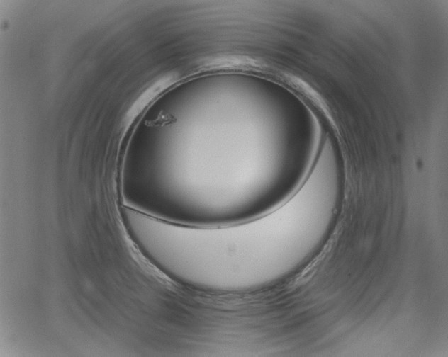X0000064061330200601270924