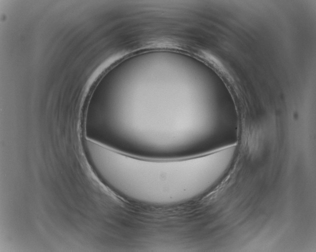 X0000064061331200601270924