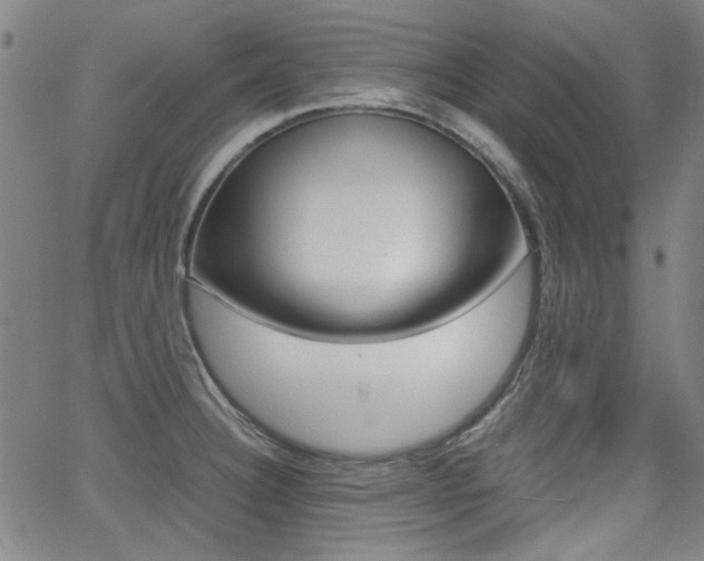 X0000064061332200601270924
