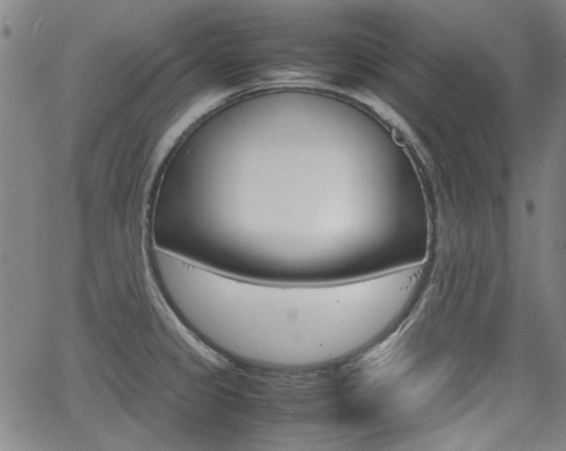 X0000064061333200601270924