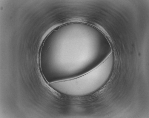 X0000064061339200601270924