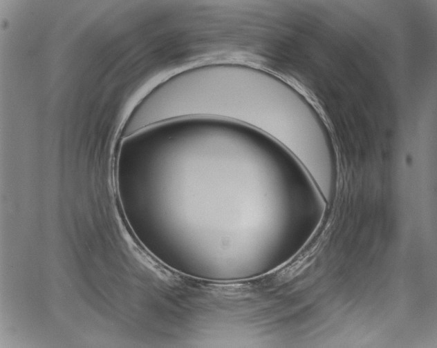 X0000064061342200601270924