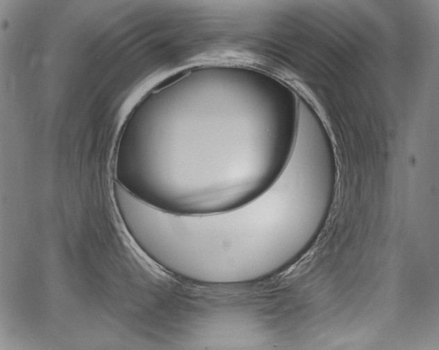 X0000064061344200601270924