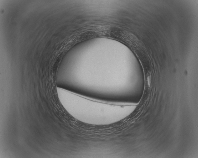 X0000064061347200601270923