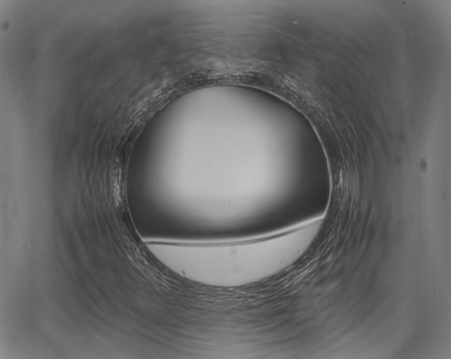 X0000064061348200601270923